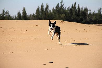 虚幻5重制《魔兽》阿尔萨斯和《真人快打4》吉塔娜